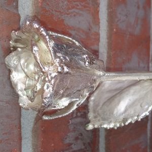 SILVER DIPPED LONG STEM ROSE